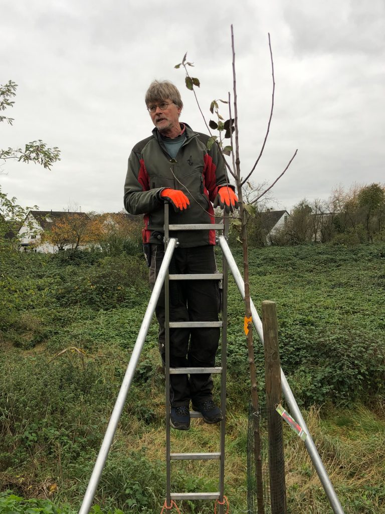 Kursleiter Christoph Vanberg vermittelte die Grundlagen für den optimalen Schnitt von Obstbäumen
