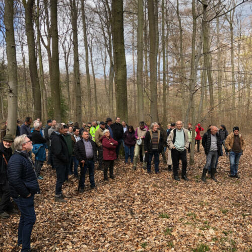Waldbegehung möglicher Standorte für Windenergieanlagen im Harterscheid April 2022